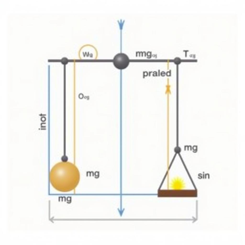 Chứng minh công thức con lắc đơn: Lực tác dụng