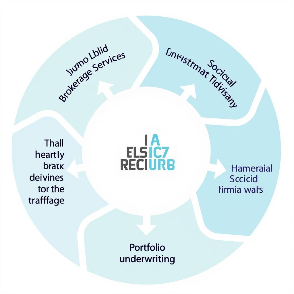 Functions of a securities company